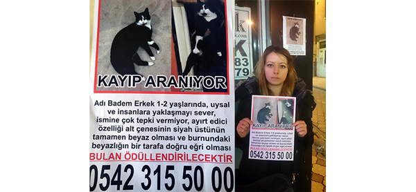 KEDİSİNİ İLANLA ARIYOR