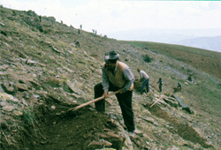 Ağaçlandırma çalışmaları