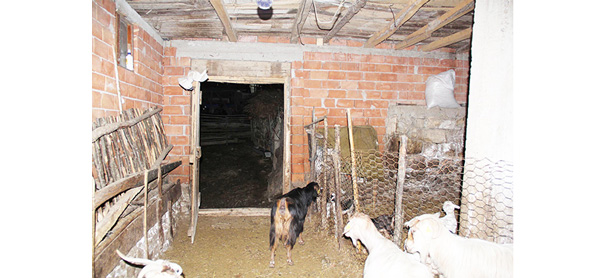 Boyna Dolanan İp Can Aldı