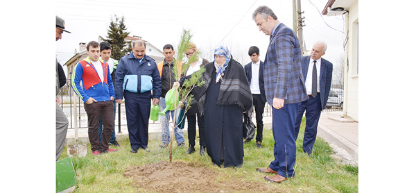 Şehit Annesi İle Birlikte Ağaç Diktiler