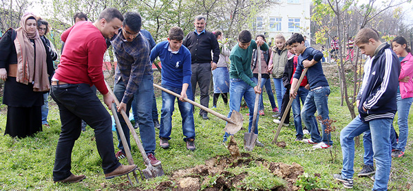 SARIMSAK VE BEZELYE EKTİLER:::