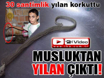 Musluktan 'yılan' çıktı