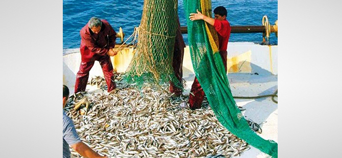 DENİZLERDE AV YASAĞI BAŞLADI