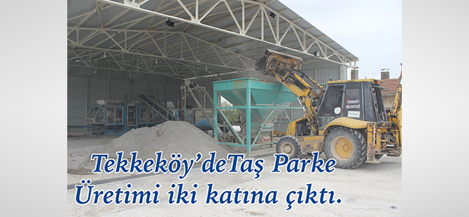 Parke Tesisinde Kapasite Arttırımı