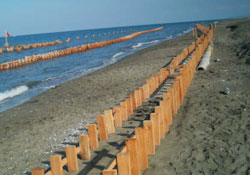 Kazıklar işe yaradı