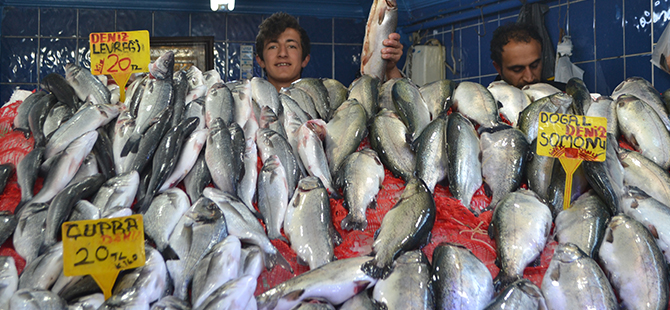 BALIKTA RAĞBET SOMONA