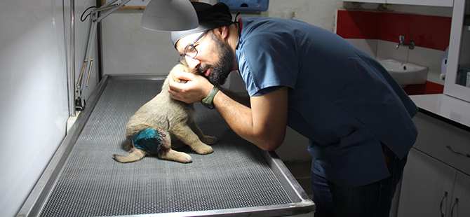 HELAL OLSUN DEDİRTTİ