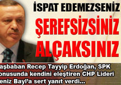 CHP ve Doğan'a yüklendi Tayyip...