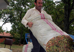 TMO'nun fındık alımları sürüyor