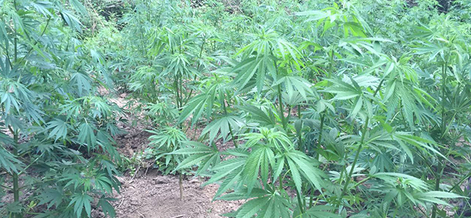 JANDARMA SUÇA GEÇİT VERMİYOR