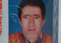 Ağaç budamak istedi canından oldu