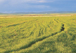 Planlanarak yapılmalıdır"