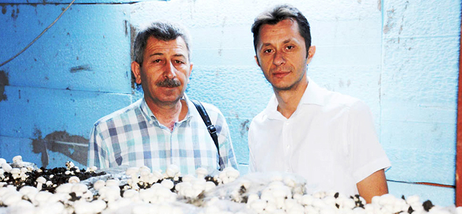 GECE İŞÇİ, GÜNDÜZ ÜRETİCİ