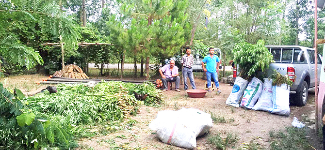 ÇARŞAMBA'DA ESRAR ELE GEÇİRİLDİ