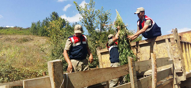JANDARMADAN BÜYÜK ESRAR OPERASYONU
