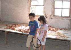 Yaşar Doğu'nun harabe evi üzüyor