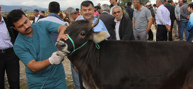 HAVZA BELEDİYESİ KURBAN TEDBİRİNİ ALIYOR