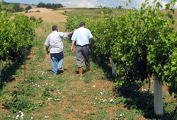 80 çeşit meyve yetişiyor