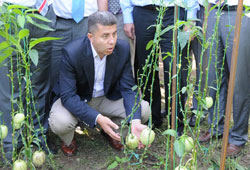 Terme üretimde kabuk değiştiriyor