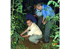 Üretimde engelli farkı