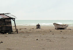 Sahilde erkek cesedi bulundu