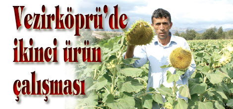 İkinci ürün çalışması