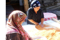 Sinop tarhanayı unutmadı