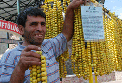 'Alıç' tezgahlarda yerini aldı