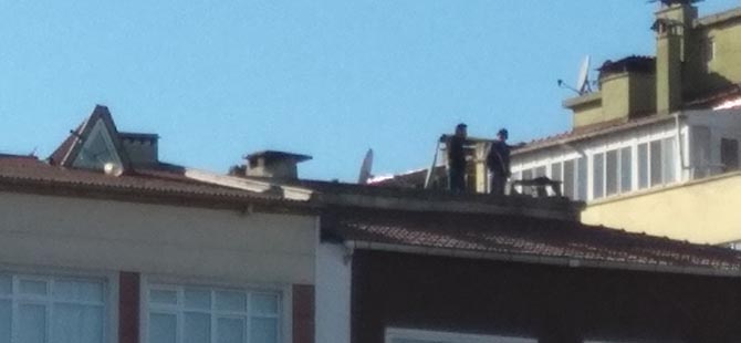 TEHLİKENİN FARKINDA DEĞİLLER