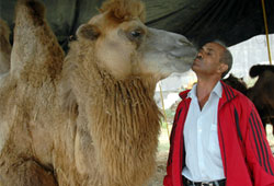 Develer gemi bekliyor