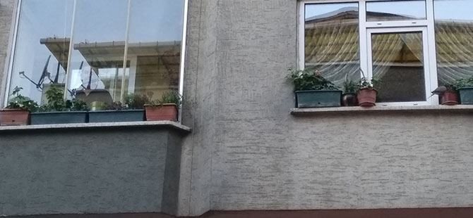 TEHLİKELİ SAKSILAR