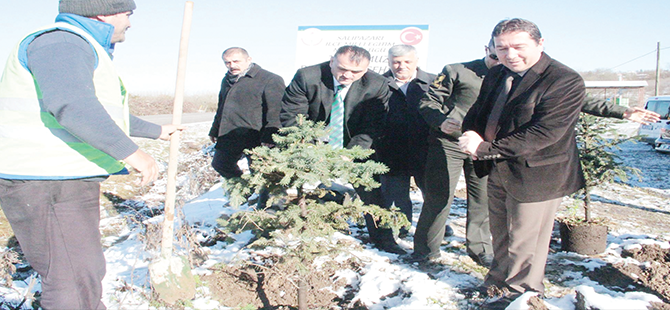 SALIPAZARI İLÇESİNDE ''15 TEMMUZ DEMOKRASİ ŞEHİTLERİ ORMANI