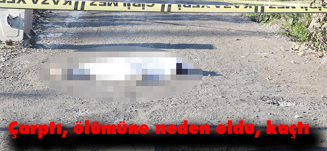 Çarptı, ölümüne neden oldu, kaçtı