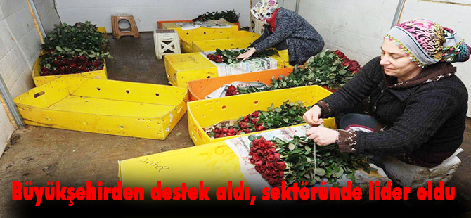 Büyükşehirden destek aldı, sektöründe lider oldu