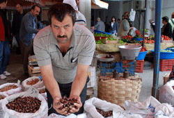 Kestane rekoltesi yüksek