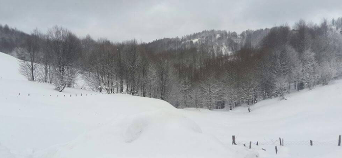 BELEDİYE KARLA MÜCADELE EDİYOR