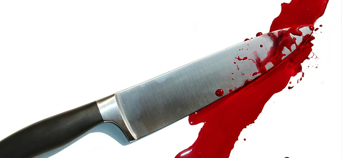 Ağabeyini öldüren kardeşe 16 yıl 8 ay hapis