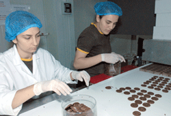 Harmony damak tadına sunuldu