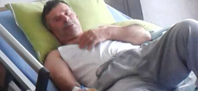 Hayvan otlatırken domuz saldırdı