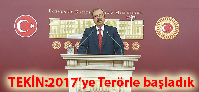 TEKİN:2017’ye Terörle başladık