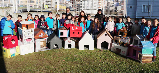 Öğrenciler sokak kedileri için ev yaptı