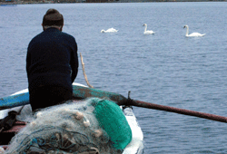 Balıkçıların maskotu oldular