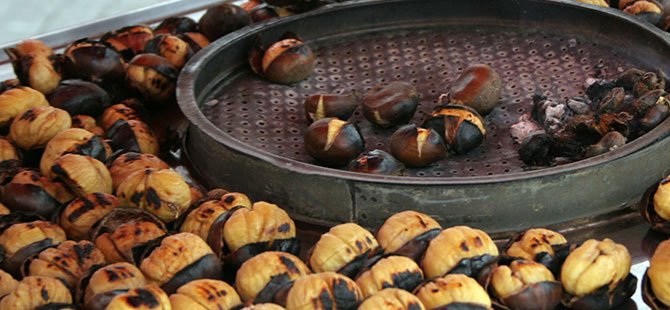 KESTANE DEYİP GEÇMEYİN