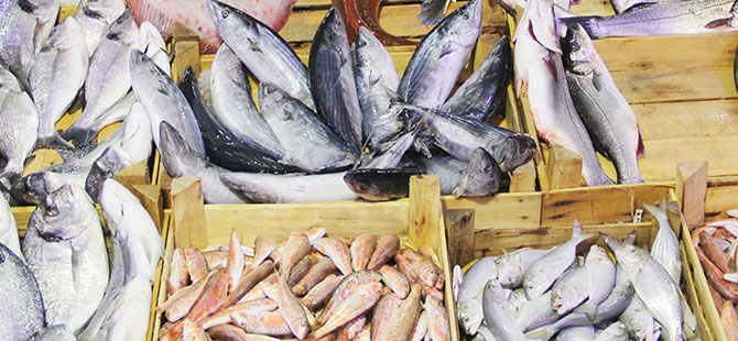 Balık fiyatlarına fırtına zammı