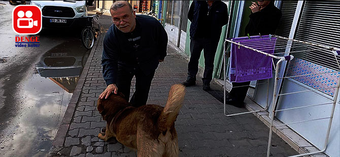 BAFRA'DA KARABAŞ'LA SARI KÖPEĞE KAR İLGİSİ