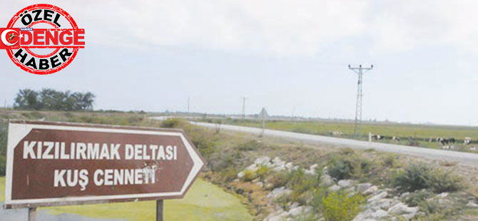 KUŞLAR BİZİ KURTARACAK