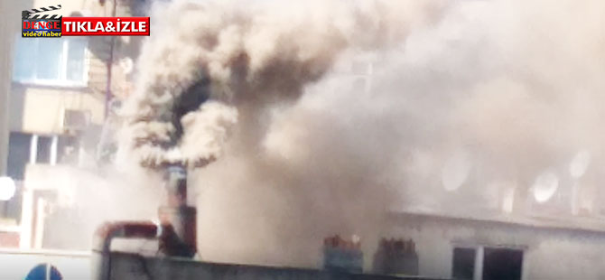 Bina Bacaları Zehir Saçıyor