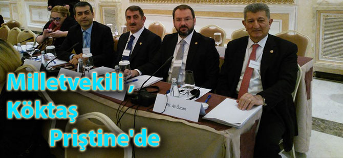 Milletvekili Köktaş Priştine'de