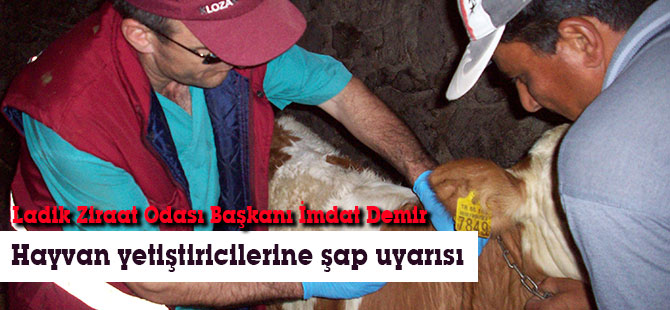 Hayvan yetiştiricilerine şap uyarısı