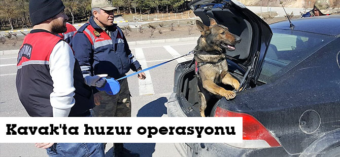 Kavak'ta huzur operasyonu